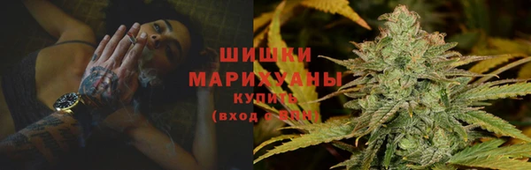 стафф Богданович