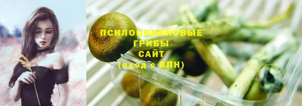 стафф Богданович