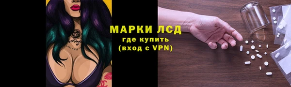 стафф Богданович