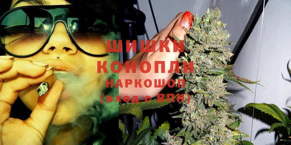 стафф Богданович