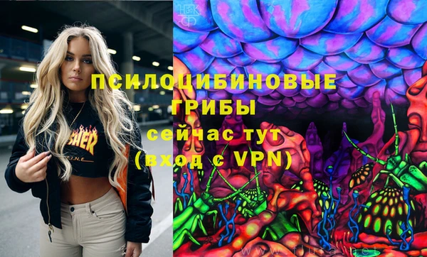 шишки Ростов