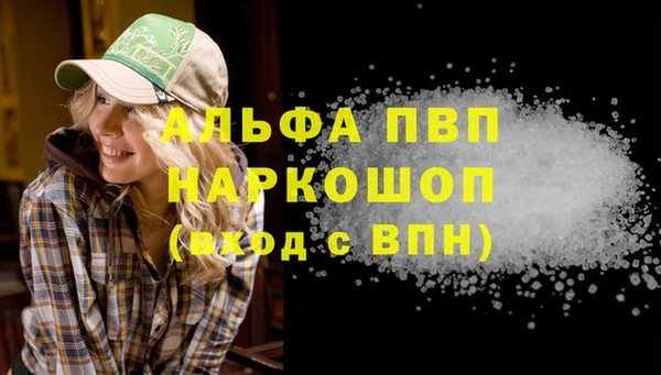 стафф Богданович