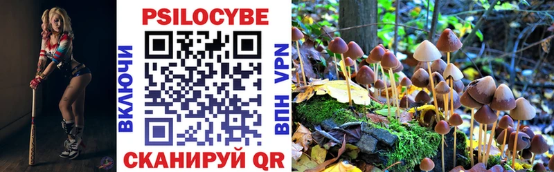 Галлюциногенные грибы GOLDEN TEACHER  Кочубеевское 